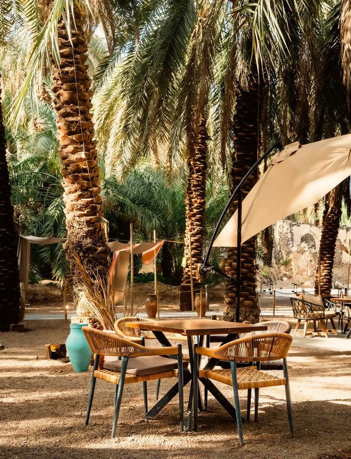 Madinah’s gardens and gatherings